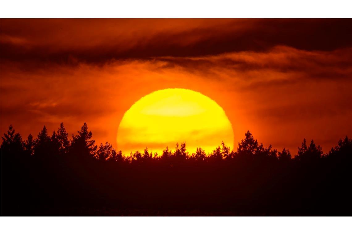 Farbenprächtig leuchtet der Sonnenuntergang hinter einem Waldgebiet im östlichen Brandenburg.