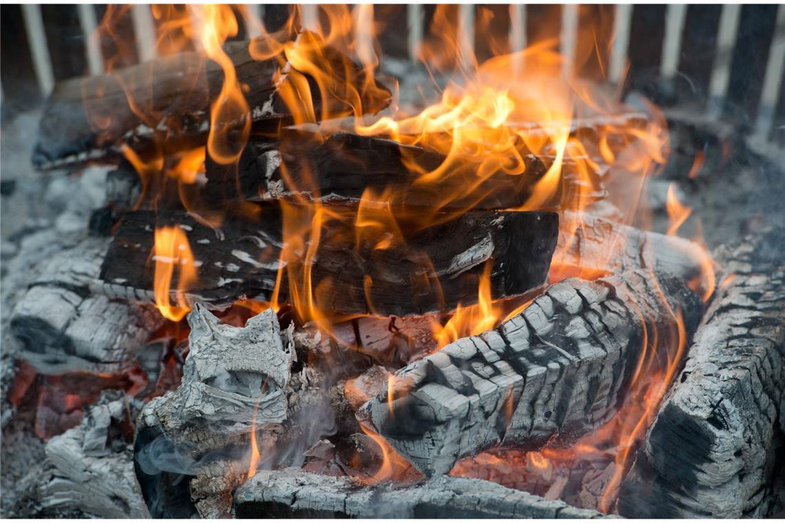 So können auch Sie in der Wildnis überleben Feuer: Ein Lagerfeuer aus Hart- und Weichholz mit Zunder gemischt wärmt und hält Plagegeister fern.
