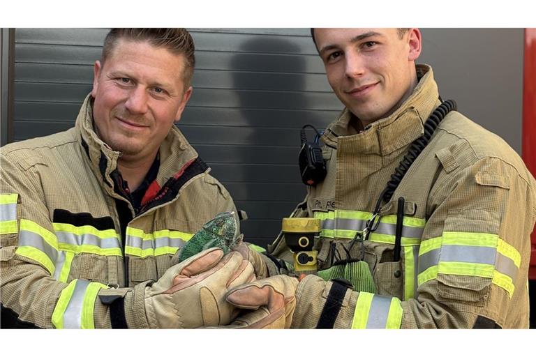 Feuerwehrleute haben ein Chamäleon aus einem Baum in einem Konstanzer Wohngebiet gerettet.