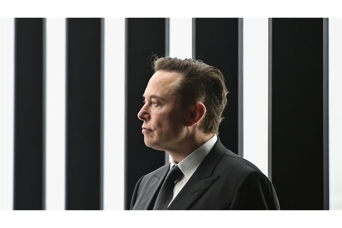 Firmenchef Elon Musk: Seit seinem politischen Engagement waren die Tesla-Verkäufe eingebrochen.
