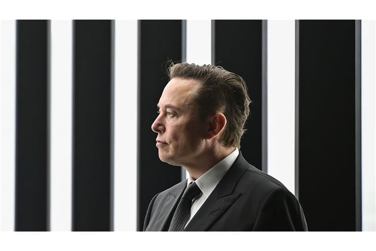 Firmenchef Elon Musk: Seit seinem politischen Engagement waren die Tesla-Verkäufe eingebrochen.