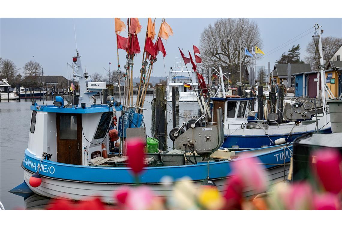 Fischerboote liegen im Hafen von Niendorf an der Ostsee.