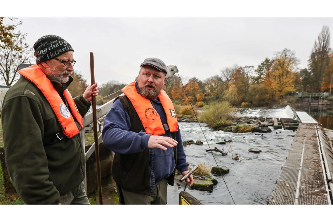 Deutsche Wildlachse: Vom Ozean zurück in die Aufzuchtstation Fischwirt Dennis Bock (links) und Fischwirtschaftsmeister Sven Wohlgemut helfen deutschen Wildlachsen bei der Fortpflanzung.