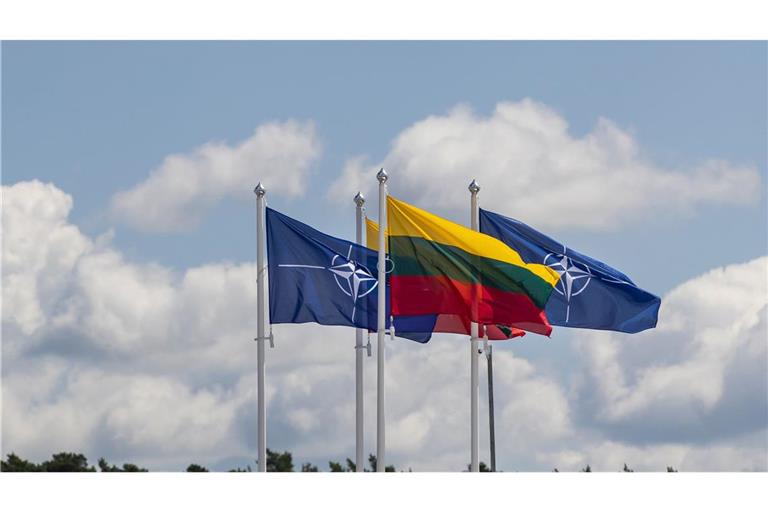 Flaggen der Nato-Mitgliedsländer.
