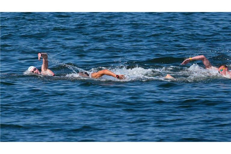 Florian Wellbrock hat seinen zweiten WM-Titel im Freiwasser in Singapur gewonnen.