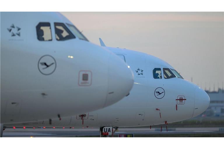 Flugzeuge der Lufthansa stehen auf Parkpositionen am Frankfurter Flughafen (Symbolbild).