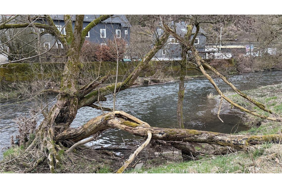 Flussufer der Sieg: Ein Dreijähriger ist bei einem Kita-Ausflug ums Leben gekommen.