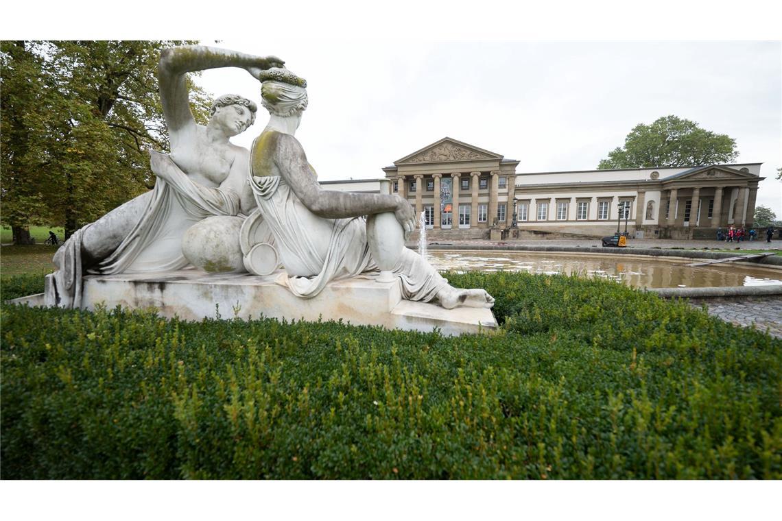Forscher des Naturkundemuseums haben sich mit dem Sexleben von Eintagsgfliegen beschäftigt (Archivbild)