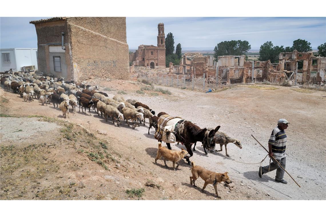 Forscher empfehlen etwa strengeren Schutz von Feuchtgebieten, Begrenzung der Grundwasserentnahme und den Umbau wasserintensiver Wirtschaftssektoren.