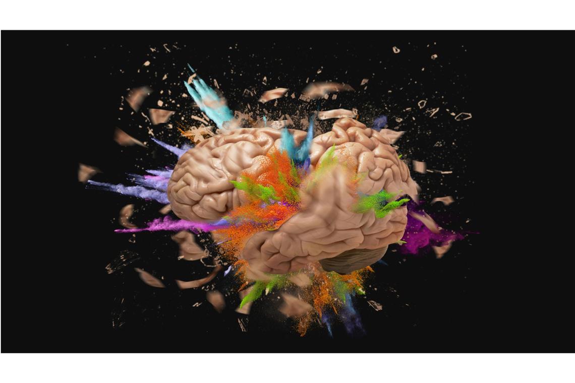 Forscher haben bisher mehr als 3000 Typen von Hirnzellen ermittelt, die im Gehirn in ihren Funktionen voneinander abweichen.