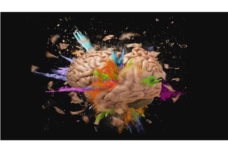 Forscher haben bisher mehr als 3000 Typen von Hirnzellen ermittelt, die im Gehirn in ihren Funktionen voneinander abweichen.