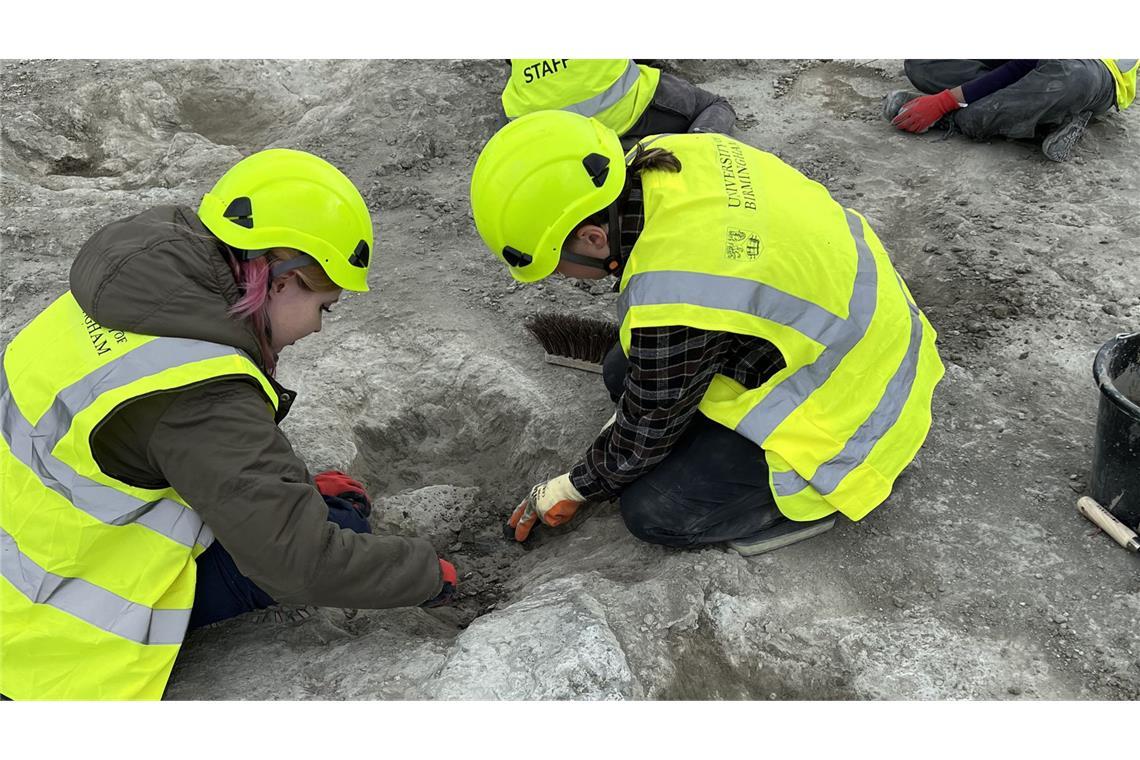 „Dinosaurier Highway“: Forscher finden Fußspuren in Steinbruch Forscher haben rund 200 Fußstapfen von Dinosauriern entdeckt. (Archivbild)