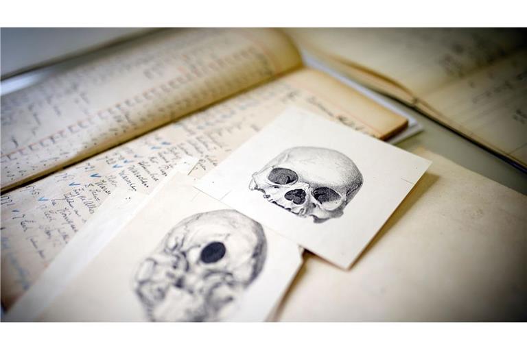 Forschungsmaterialen der Stiftung Preußischer Kulturstiftung (SPK) zur Klärung der Schädelherkunft. Foto: