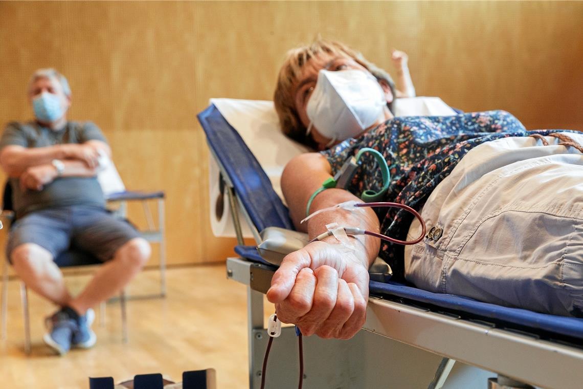 Meditationseinlage im Spendertreiben Frauen können maximal viermal im Jahr, Männer sechsmal spenden.