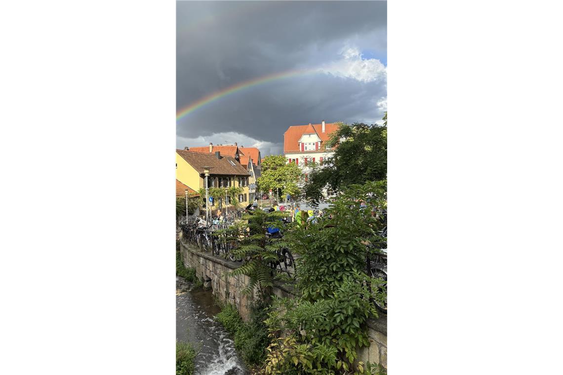 Liveticker: Streitgespräch beendet – außer einigen Rangeleien blieb es friedlich Fridays for Future macht sich bereit für die Fahrraddemo bis zur Halle - begleitet von einem Regenbogen.