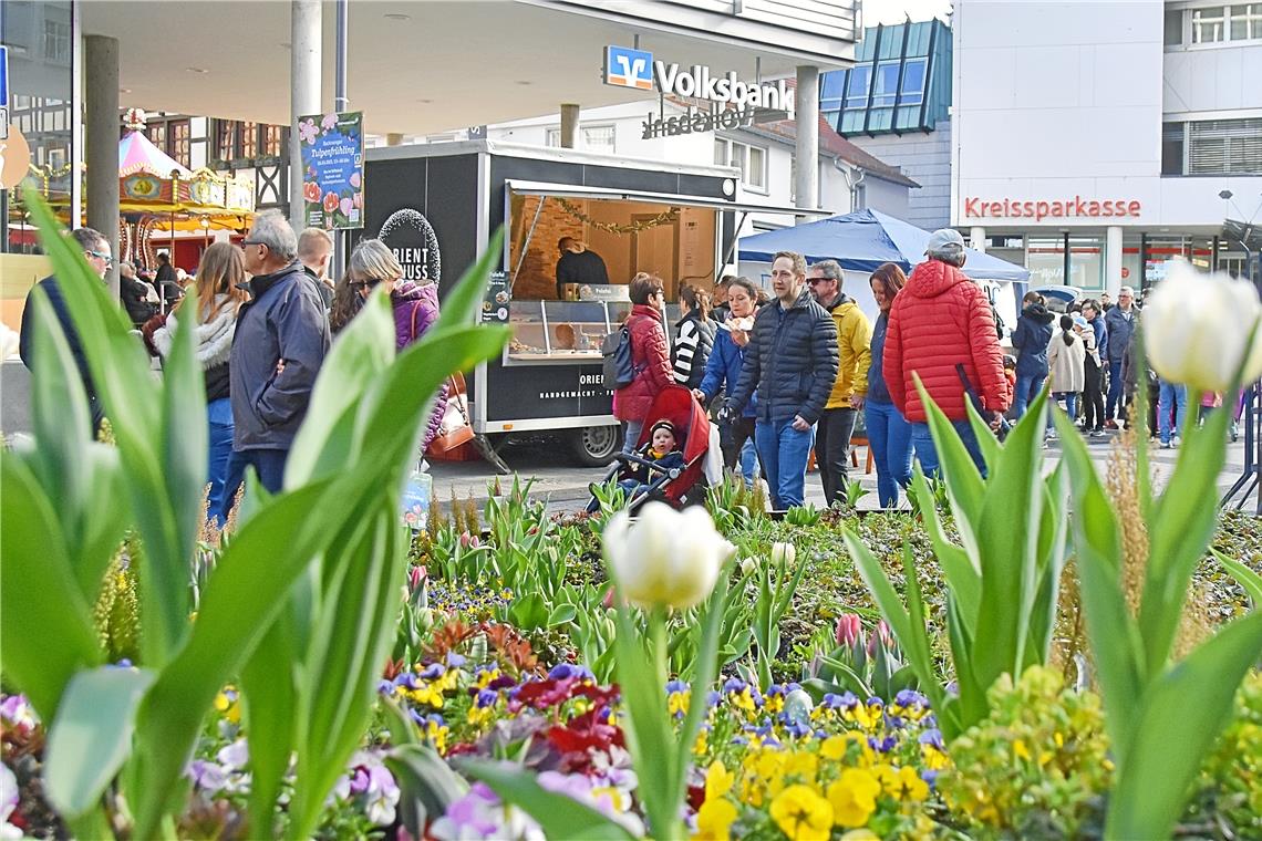 Viele Besucher beim Tulpenfrühling in Backnang Fröhlich flanieren die Besucher am verkaufsoffenen Sonntag durch die Innenstadt, vorbei an den mit Tulpen bepflanzten Beeten. Fotos: Tobias Sellmaier