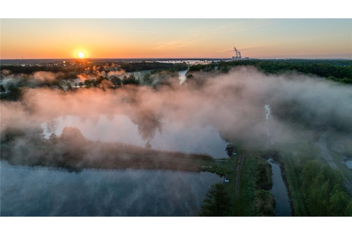 Bilder des Tages Frost in Südbrandenburg: Nebel liegt bei Sonnenaufgang über dem Renaturierungsgebiet Spreeaue bei Cottbus.