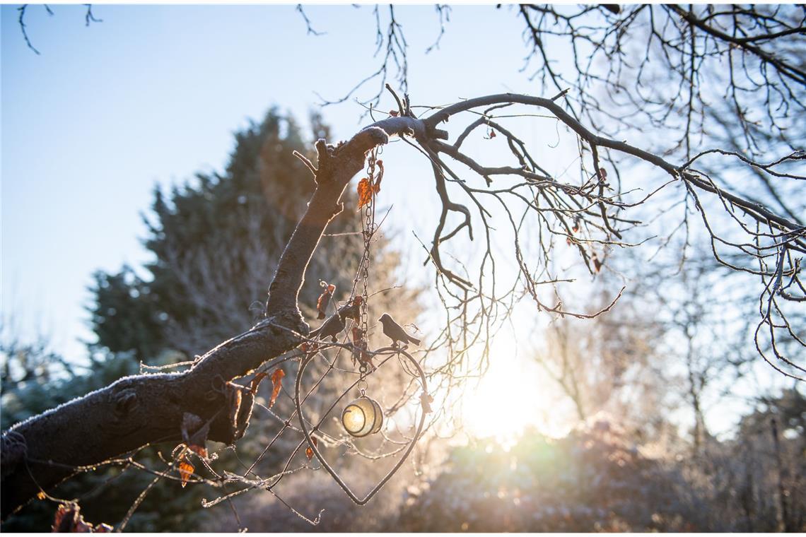 Frostige Morgen kommen auch noch im Frühling vor. Und das gefährdet kälteempfindliche Pflanzen im Garten.