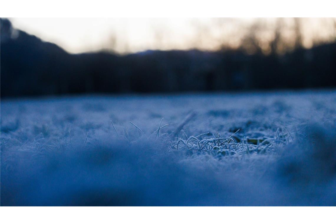 Bilder des Tages Frostiges Wetter in Freiburg