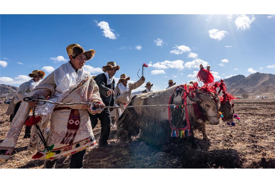 Bilder des Tages Frühjahrsanbau-Zeremonie in China: Bauern nehmen an einer Zeremonie zum Beginn der Frühjahrslandwirtschaft in der Gemeinde Codoi im Kreis Lhunzhub in Lhasa im südwestchinesischen Autonomen Gebiet Xizang teil.