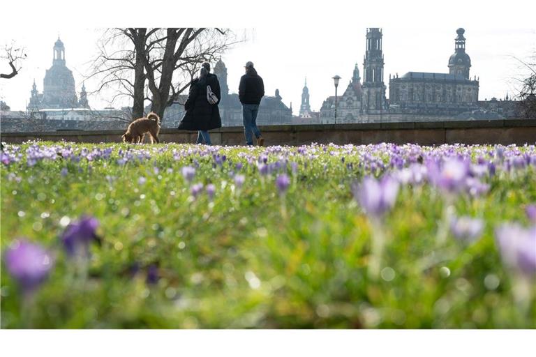 Frühlingshaftes Wetter kündigt sich schon vor dem meteorologischen Frühlingsbeginn am 1. März an.