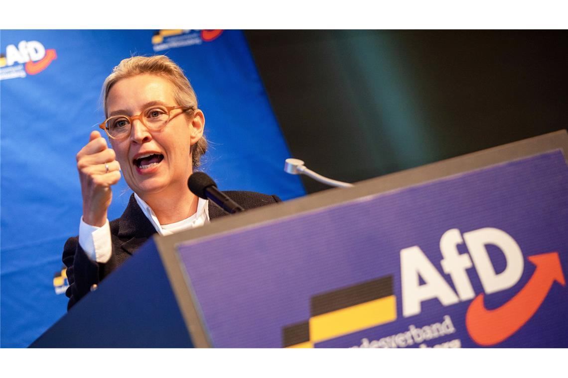 Klage gegen chaotischen AfD-Parteitag in Rottweil Für Alice Weidel war der chaotische Landesparteitag in Rottweil ein Erfolg.