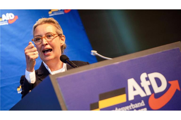 Für Alice Weidel war der chaotische Landesparteitag in Rottweil ein Erfolg.
