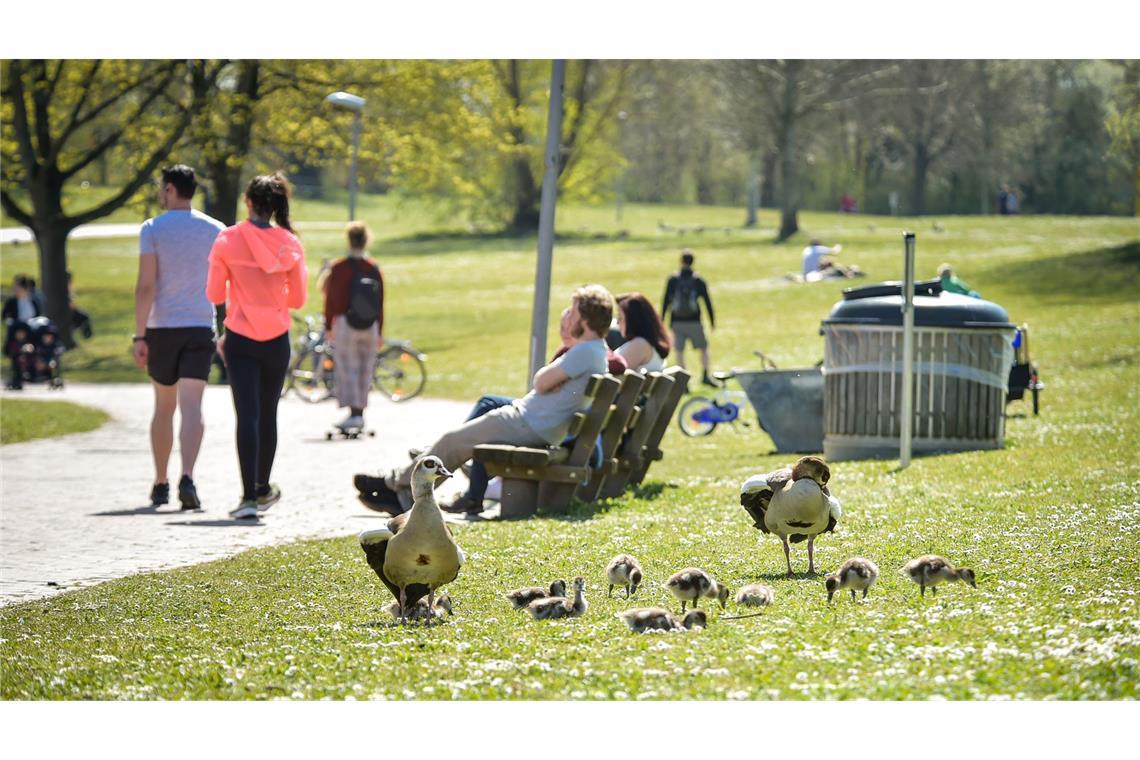 Für den 1. Mai wird freundliches Frühlingswetter immer wahrscheinlicher (Symbolbild).
