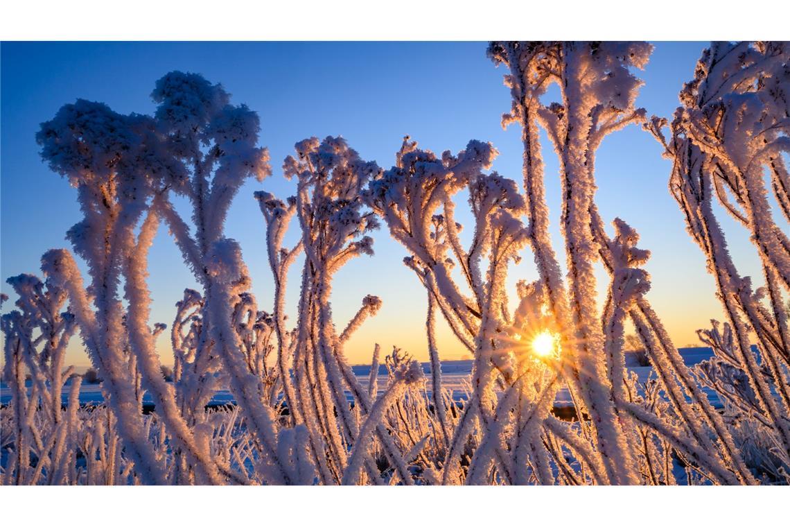 Minus 19,7 Grad im Erzgebirge gemessen Für den Osten erwartet der DWD eine weitere bitterkalte Nacht.