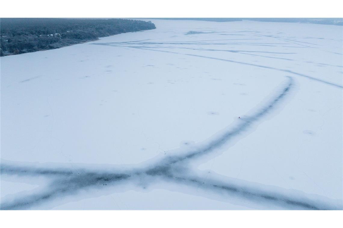 Für die Fische wirkt das Eis nach Aussage eines Experten "beruhigend".