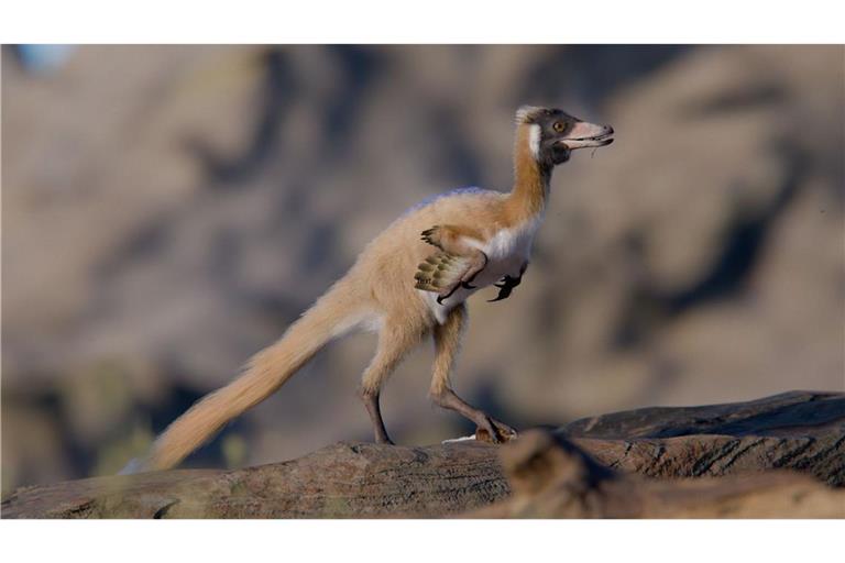 Für die Jagd besaß der kleine Dinosaurier eine einzelne, große Kralle an seinen Stummelarmen.