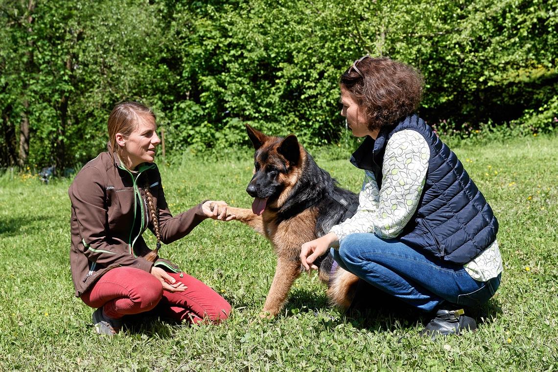 Für Hundetrainerin Kristin Strohmaier (links) ist es wichtig, die Vierbeiner, mit denen sie arbeitet, respektvoll zu behandeln. Karolin Kappler kommt mit Silver zu ihr ins Training, um den Hundeführerschein zu machen, den der Verband unabhängig von der Einführung schon anbietet. Foto: J. Fiedler