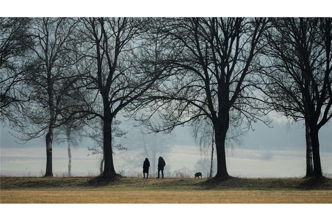 Milder Winter mit viel Sonne und ohne Rekorde im Südwesten Für Meteorologen geht der Winter in jedem Jahr vom 1. Dezember bis zum 28. Februar.