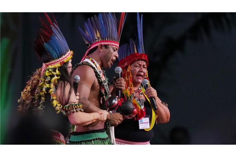 Für viele Indigene ist der Austragungsort der Konferenz in Belém im Amazonasgebiet eine Chance: Sie können ihre Stimme hörbar machen.