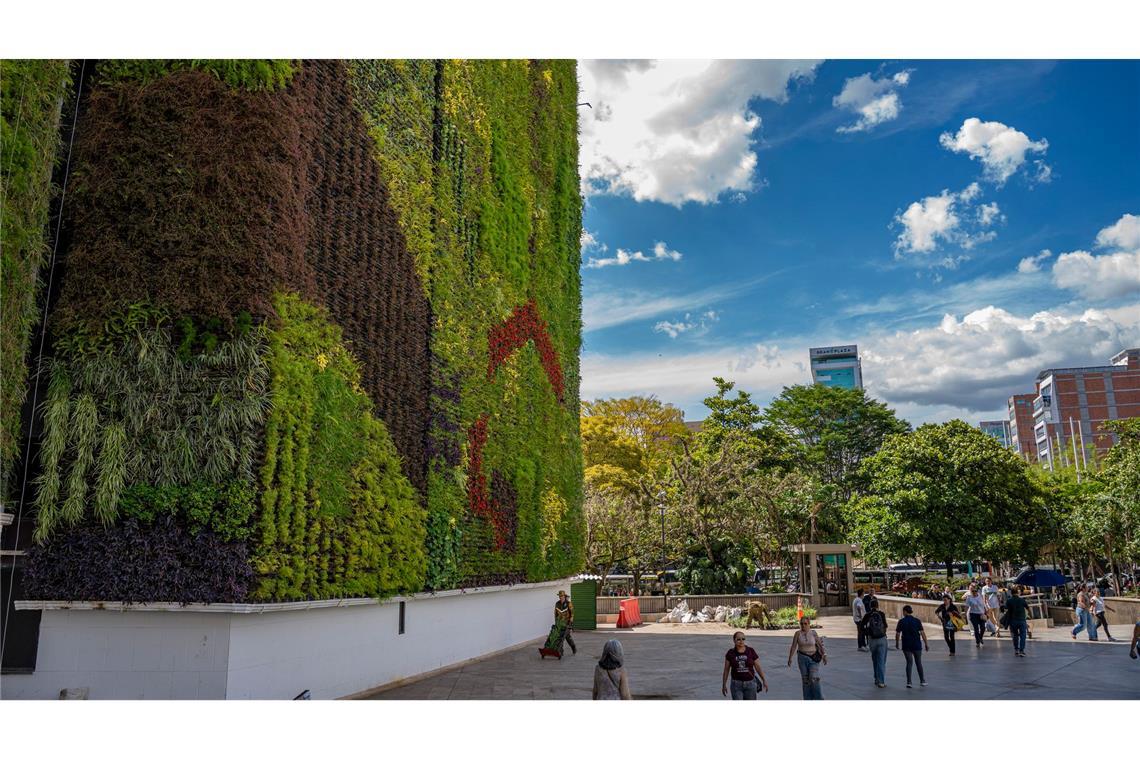 Fußgänger bewegen sich im Schatten einer begrünten Wand in Medellín. (Archivbild)