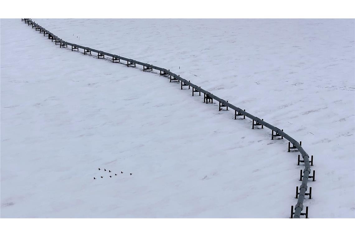 Bilder des Tages Gänse fliegen an der Trans-Alaska-Pipeline in Deadhorse vorbei.