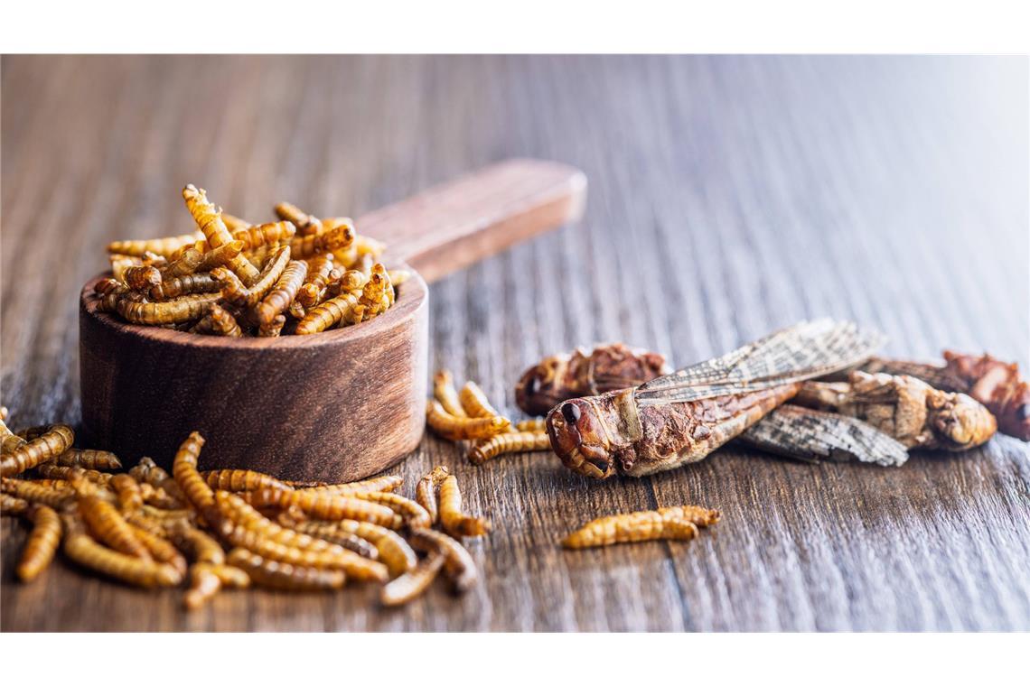 Umfrage: Millionen in Deutschland würden Insekten probieren Gebratene Heuschrecken und Mehlwürmer gelten in manchen Ländern als leckere Snacks.