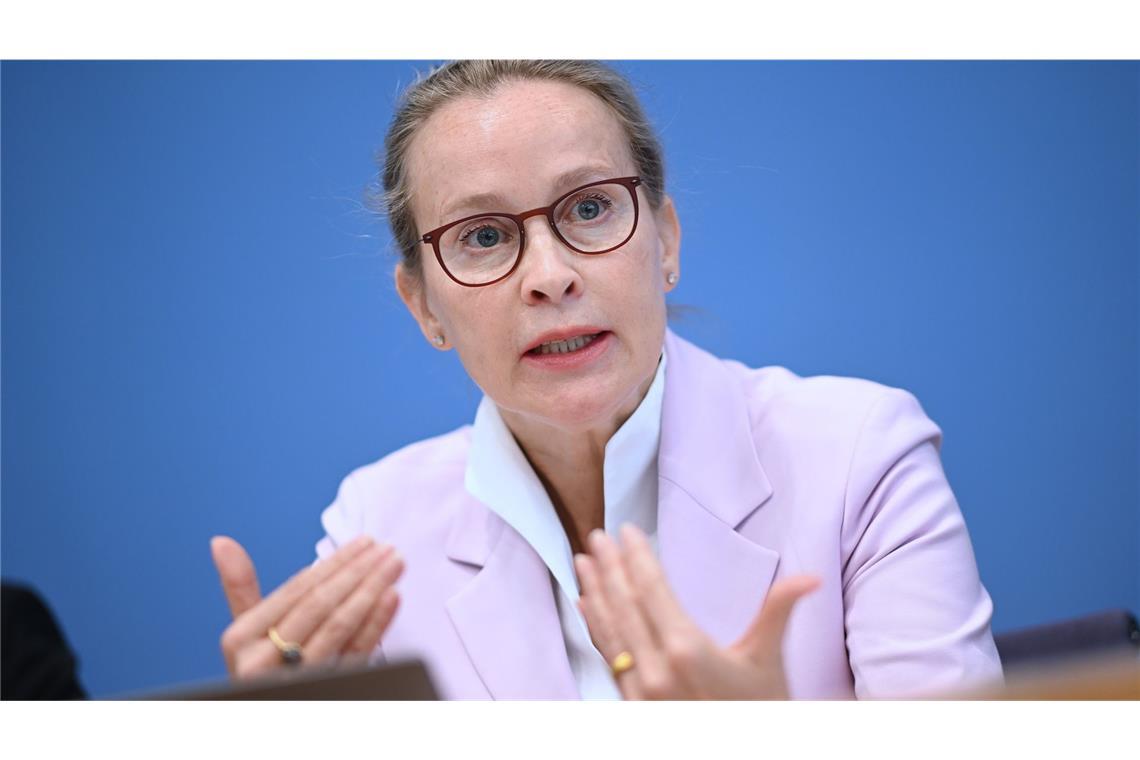 Brosius-Gersdorf: Kontroversen und Plagiatsverdacht Gegen Brosius-Gersdorf gibt es Vorbehalte.