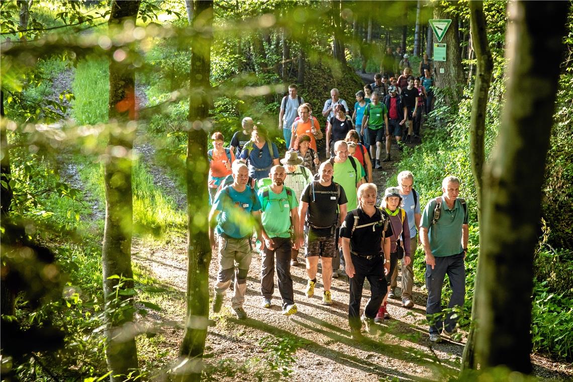 Gemeinsames Wandern – wie hier 2019 in der Abendsonne beim Hörschhof zum 40. Jubiläum des Naturparks – ist nur eine der Nutzungsformen, die der Wald den Menschen bietet. Archivfoto: A. Becher