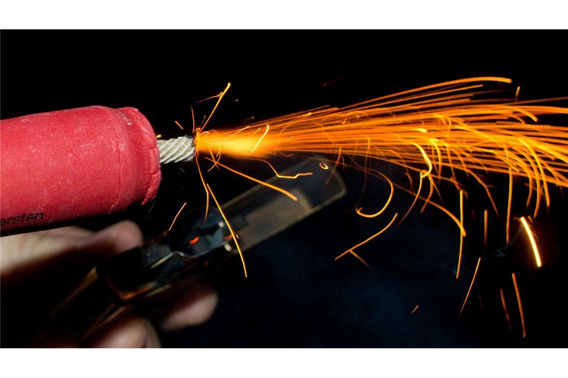 Genaue Zahlen dazu, wie viele Tiere in der Silvesternacht in panischer Flucht verletzt werden oder sterben, gibt es nicht. (Archivbild)