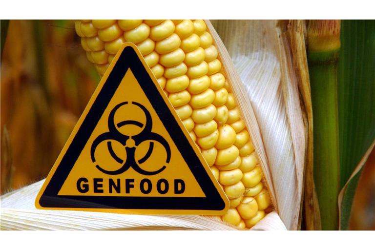 Gentechnisch veränderte Pflanzen müssen in Europa gekennzeichnet werden. Die EU will diese Regelung in einigen Bereichen abschwächen.