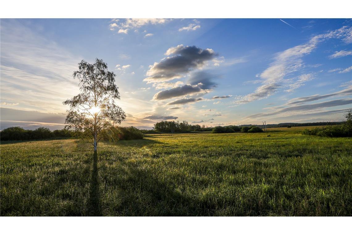 Gerade im Süden Deutschlands zeigt sich die Sonne schon zum Wochenstart.