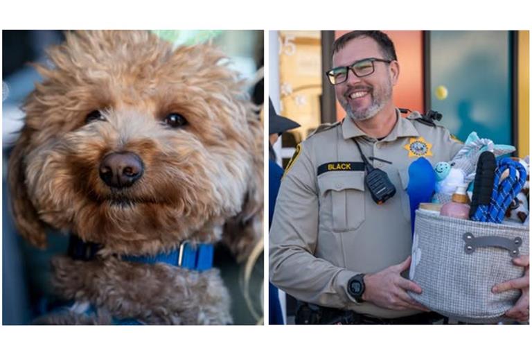 Golden Doodle "Jet Blue" wurde von seinem Finder, Officer Skeeter Black, adoptiert.