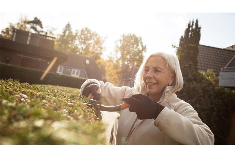 Goldener November im Garten.