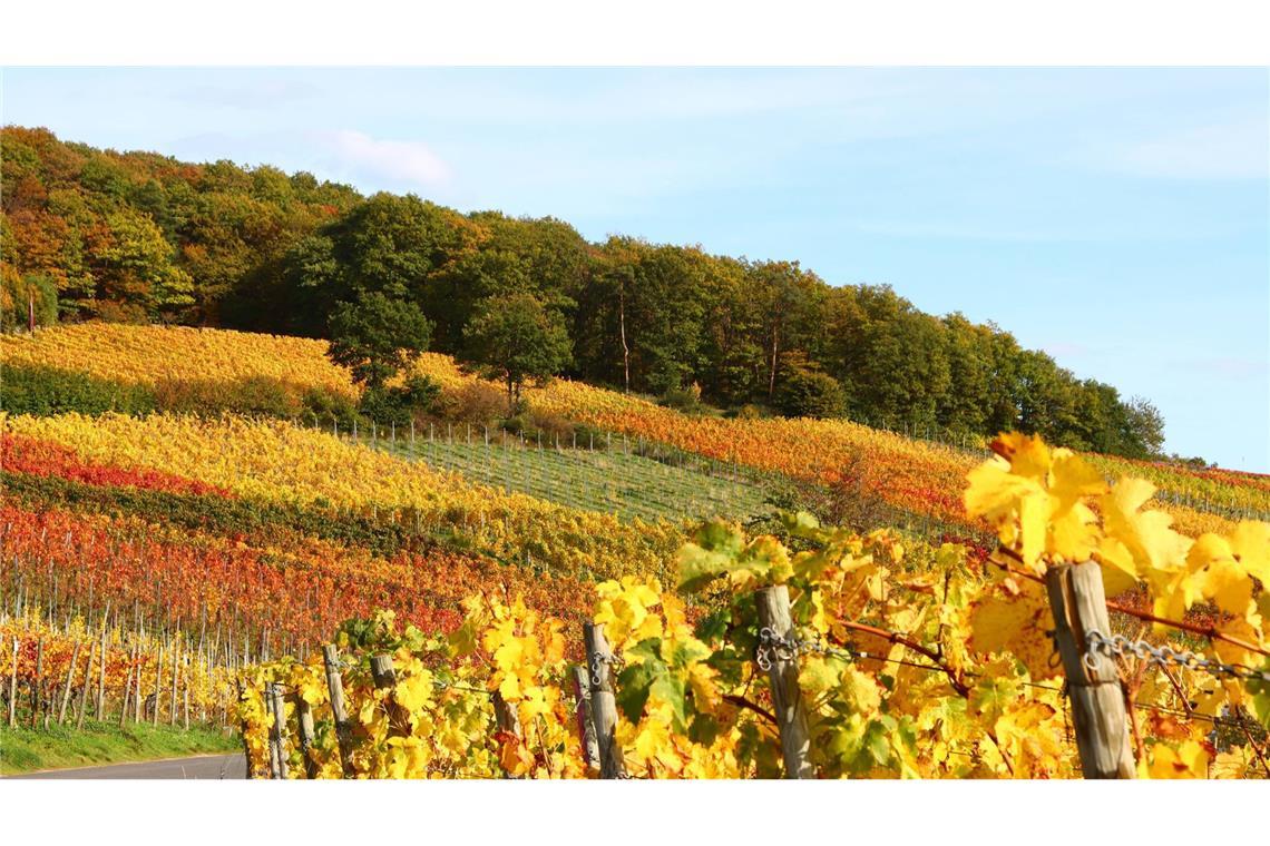 Wie lange regnet es noch? Goldener Oktober voraus.