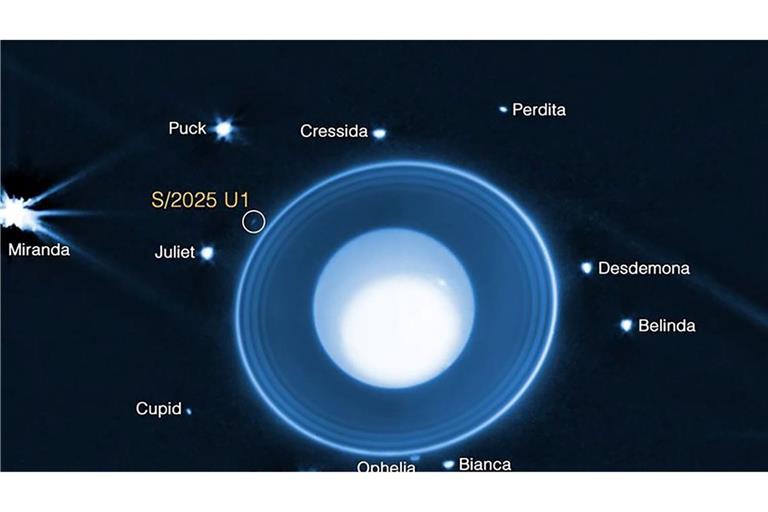 Grafik auf Basis von James-Webb-Daten: Uranus mit seinen Ringen und bekannten Monden. Eingekreist ist der neu entdeckte, nur rund zehn Kilometer große Mond S/2025 U1.