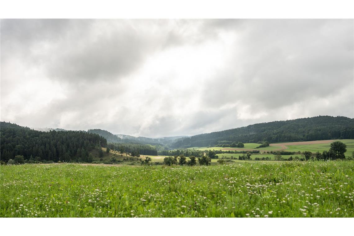 „Reichlich Sonne“ erst ab Mittwoch – Regen hält sich noch Grau ist der Himmel über Baden-Württemberg auch am Sonntag.