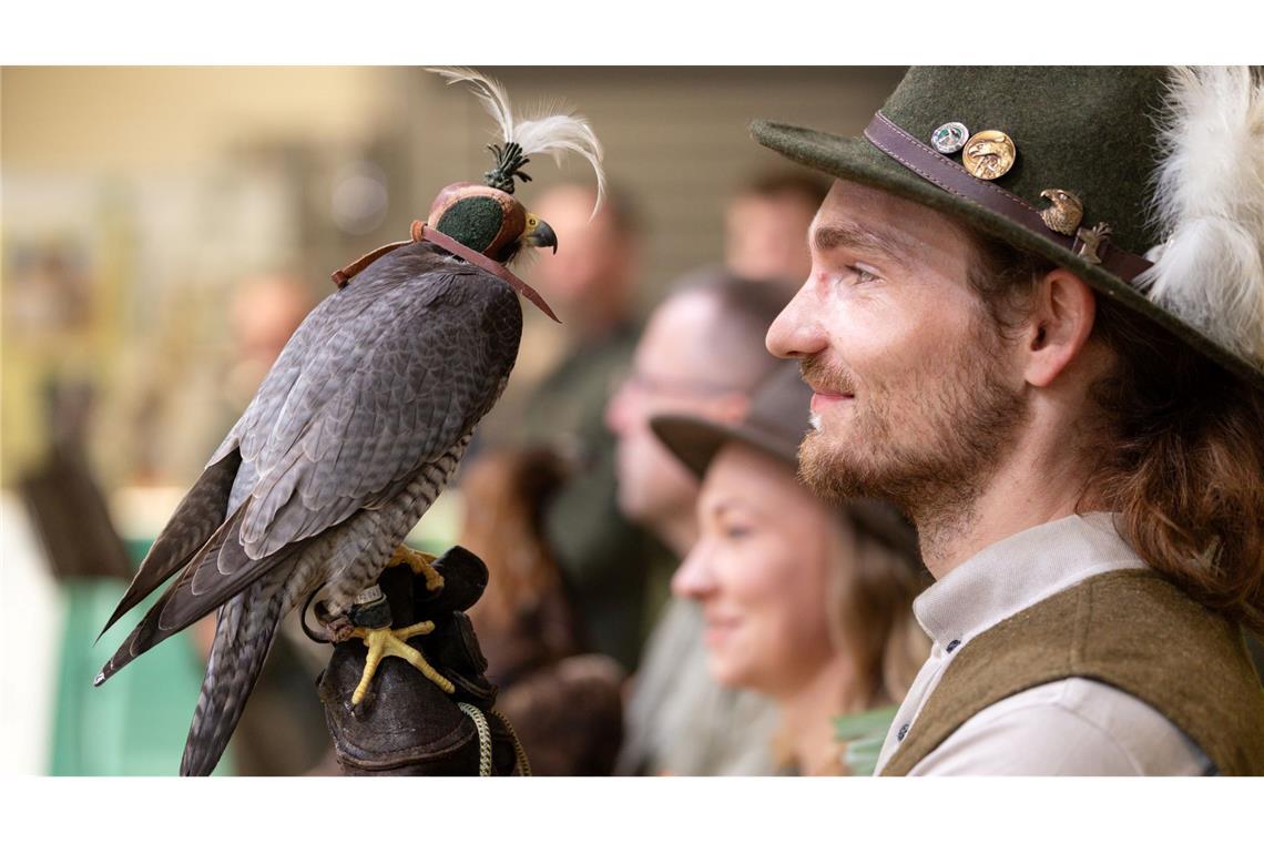 Greifvogel zum Messebeginn: Wanderfalke zieht bei Eröffnung in der Messe Erfurt die Blicke auf sich