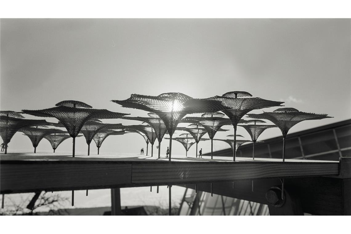 Großschirme auf der Bundesgartenschau in Köln (1971), Modell.