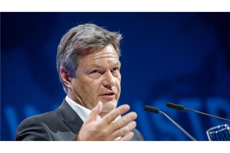 Grünen-Kanzler-Kandidat Robert Habeck (Archivbild)